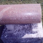 Charlotte Luecke Tegtmeier 22 SEP 1834 - 03 OCT 1911 St. John Eagle Lake Cemetery, Beecher, IL
